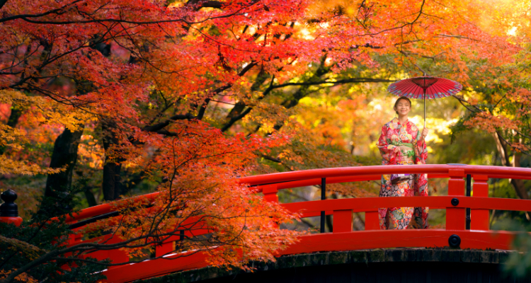 Foliage Giapponese con accompagnatore esperto dall'Italia