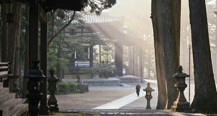 MINITOUR KOYASAN