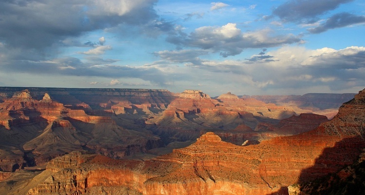 SELVAGGIO WEST