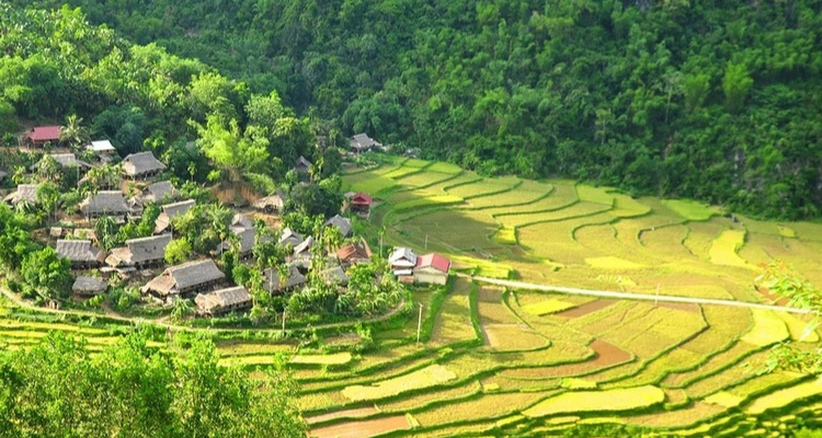 SPLENDORI DEL VIETNAM