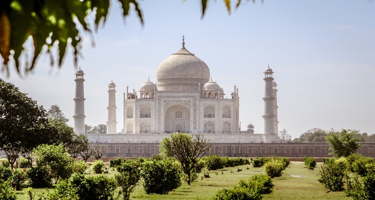 FORTI, TIGRI E TAJ