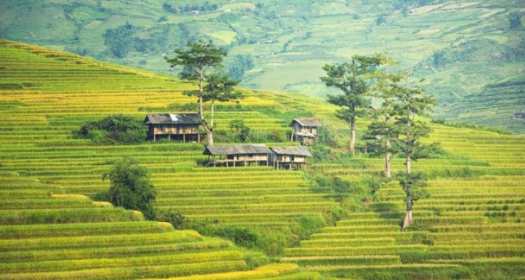 DISCOVER CAMBOGIA