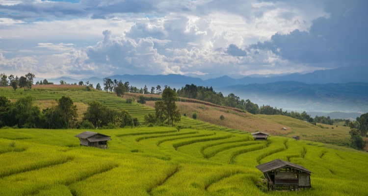 THAILANDIA EXPERIENCE