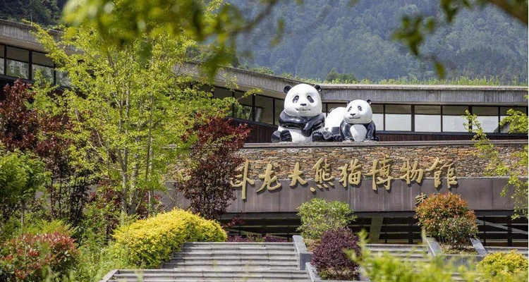 GRANDE CINA CON CHENGDU