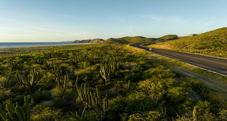 TOUR CLASSICO BAJA CALIFORNIA DEL SUR