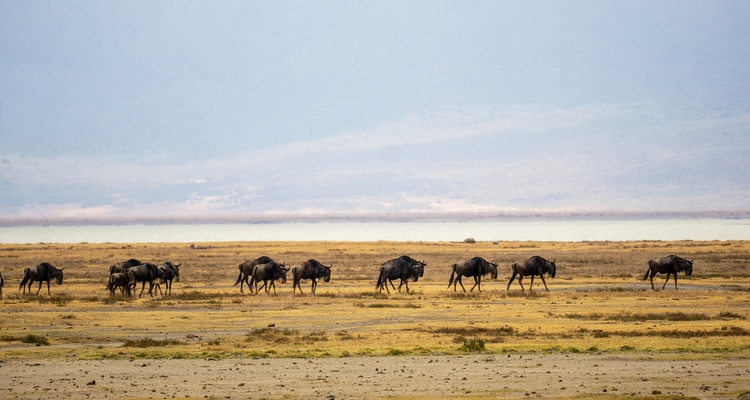 Foto Camera Principale