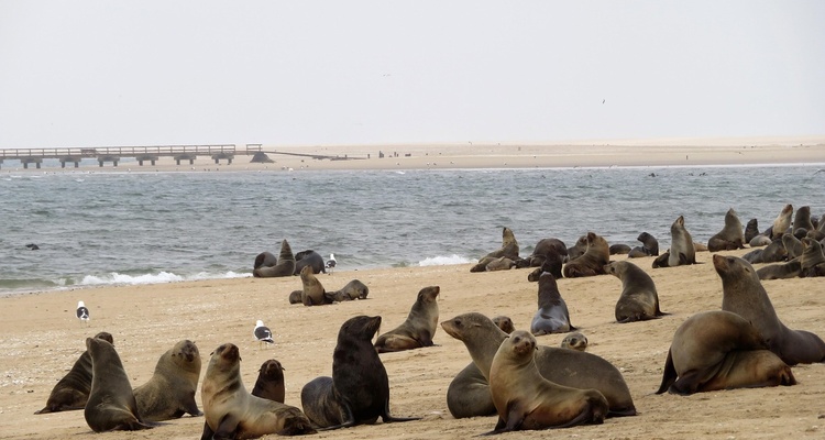 BEST OF NAMIBIA