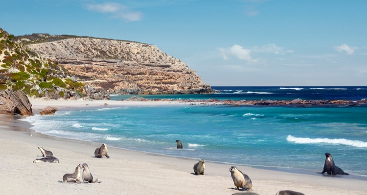 Foto Camera Principale