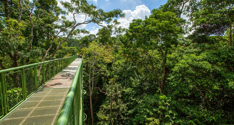 Foto Camera Principale