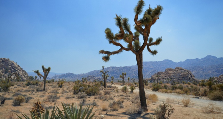 Foto Camera Principale