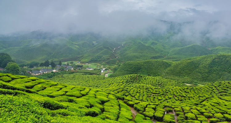 Foto Camera Principale