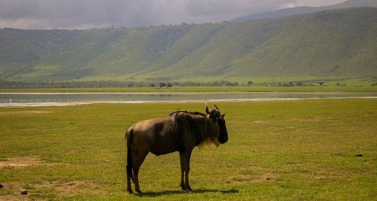 Foto Camera Principale