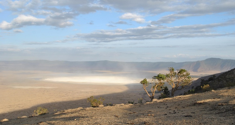 Foto Camera Principale