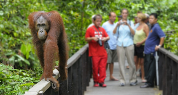 Foto Camera Principale