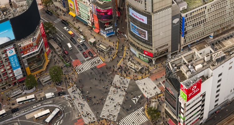 A SPASSO PER TOKYO OVEST