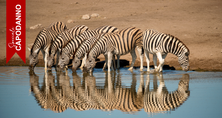Capodanno in Namibia - Con guida parlante Italiano