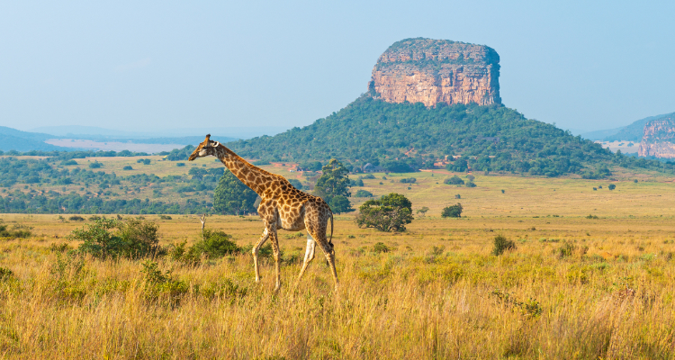 Madagascar Straordinario Sud - Partenze dal 20 aprile al 26 ottobre - 10 giorni