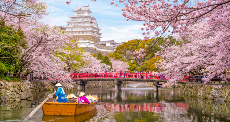I colori del Giappone - Speciale Primavera