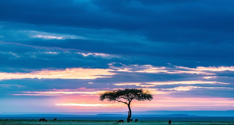 TOUR BEST OF KENYA