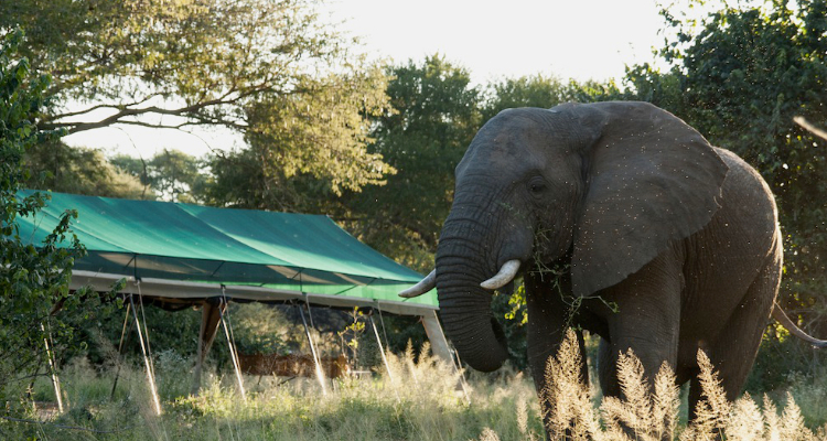 IL SUD DELLA TANZANIA IN VOLO