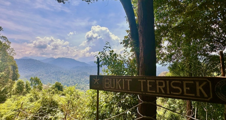 Minitour Taman Negara