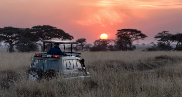 I PARCHI DELLA TANZANIA