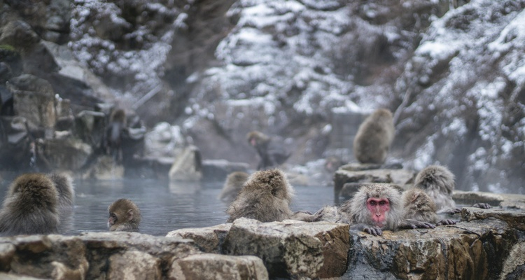 MINITOUR I TESORI DELLA MONTAGNA