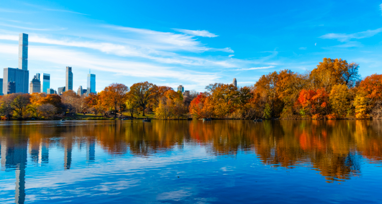 Fall in Love with NYC