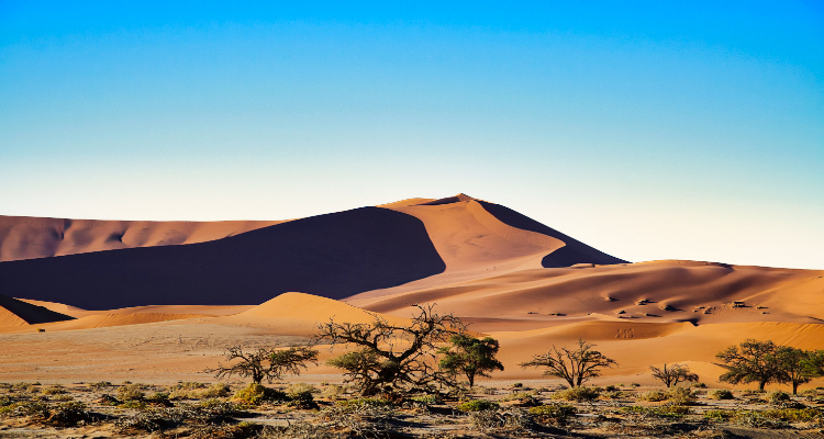 Namibia Adventure