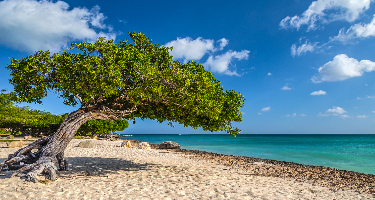 Eastern Triangle e Aruba