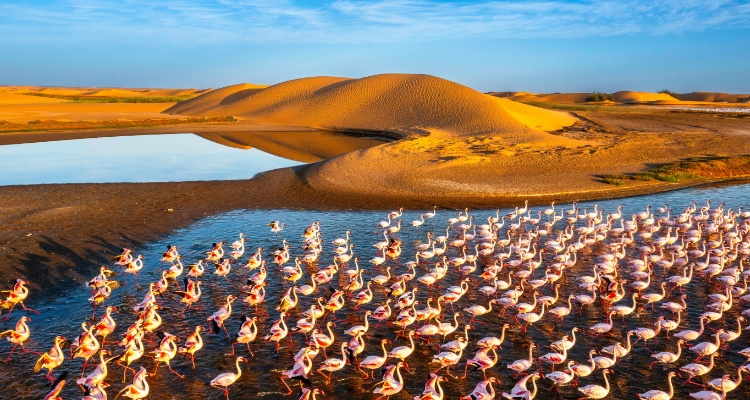 Fly and Drive Namibia