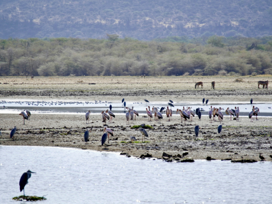 Foto Camera Principale