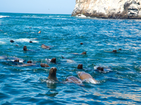 Foto Camera Principale