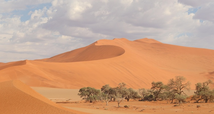 Foto Camera Principale