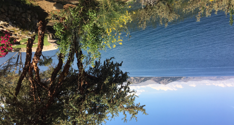 Foto Camera Principale