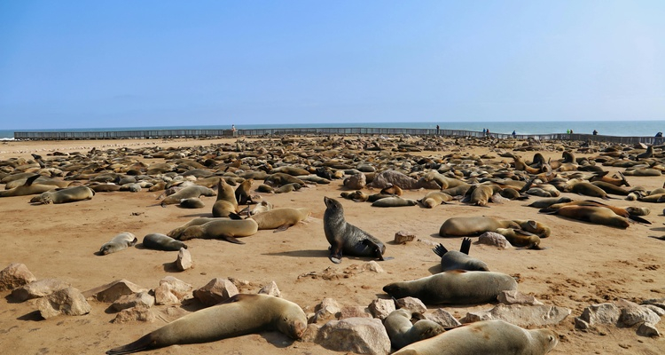 Foto Camera Principale