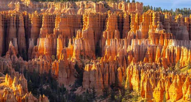 Foto Camera Principale