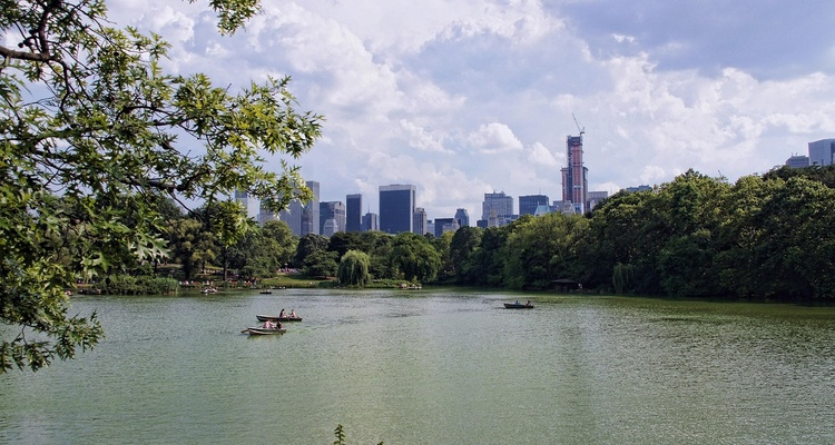 New York Urban Experience