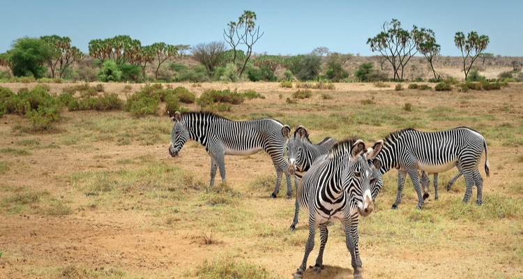 Foto Camera Principale