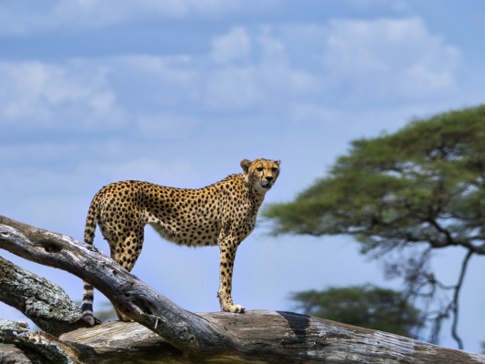 Foto Camera Principale