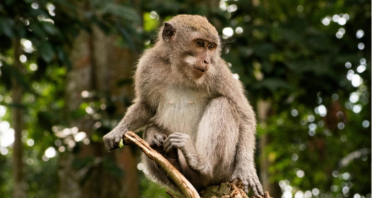 Foto Camera Principale