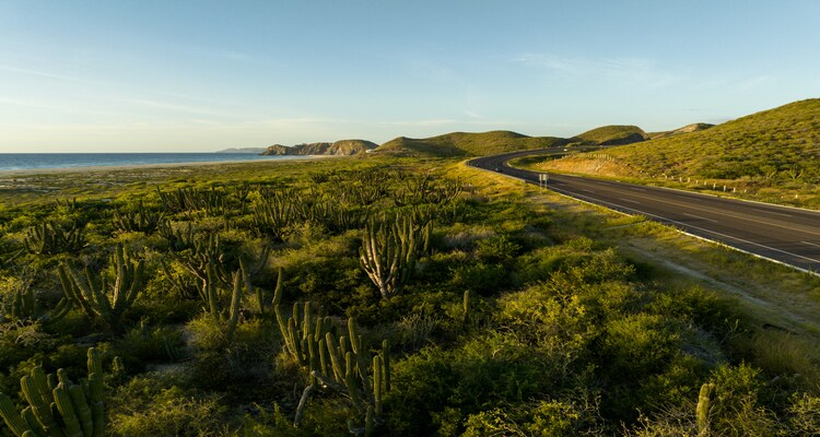 TOUR CLASSICO BAJA CALIFORNIA DEL SUR