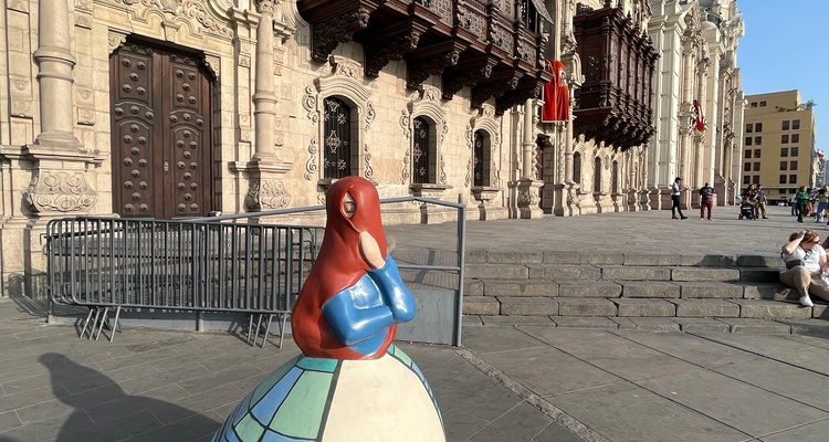 Foto Camera Principale