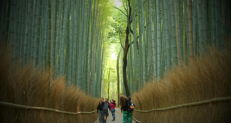 Foto Camera Principale