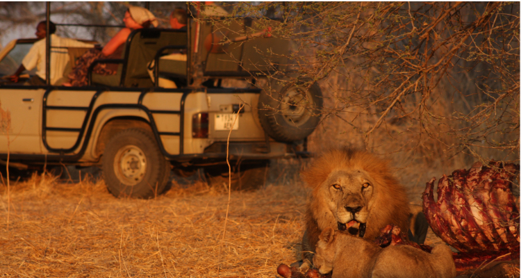 Foto Camera Principale