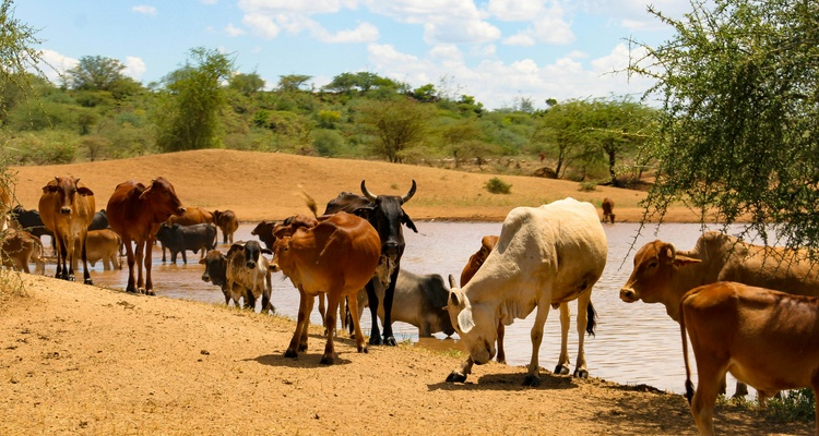 Foto Camera Principale