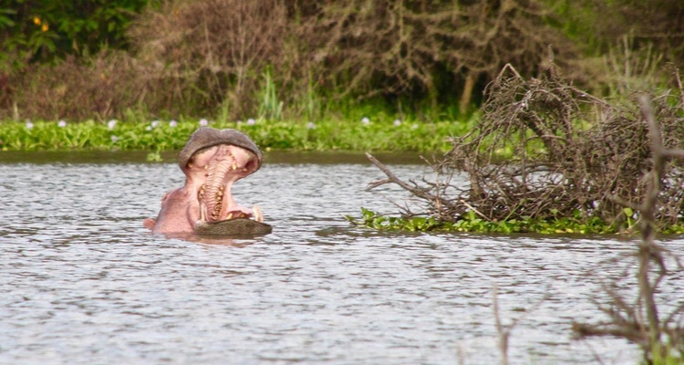 Foto Camera Principale