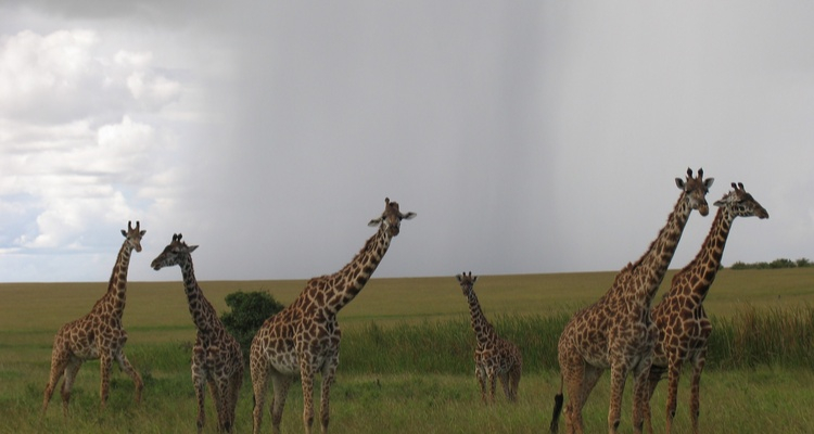 Foto Camera Principale