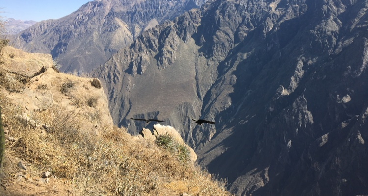 Foto Camera Principale