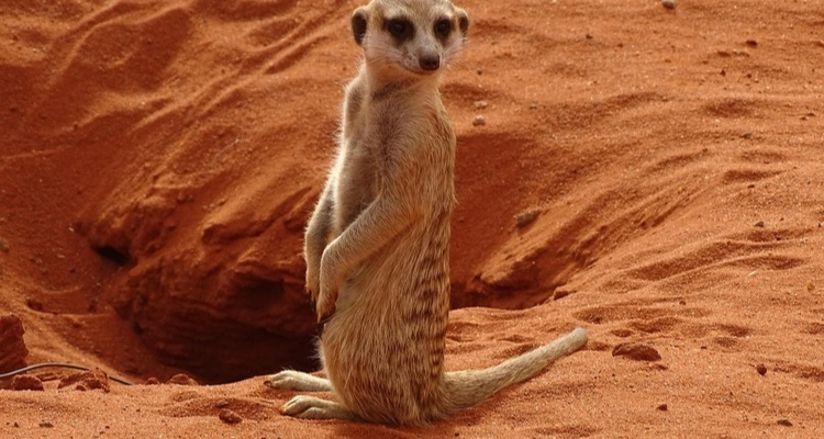 Foto Camera Principale